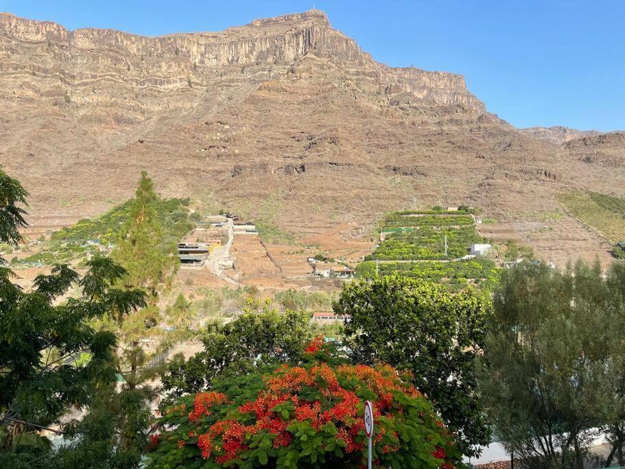 Cycling Holiday, 11 Km From Arguineguin Las Casillas  Exterior photo